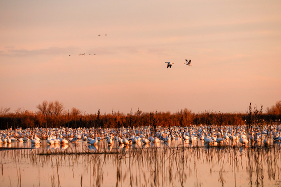 Merced National Wildlife Refuge 