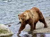 Katmai National Park