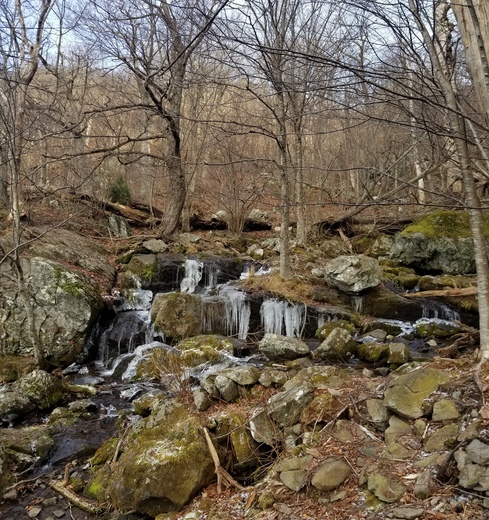 Shenandoah National Park
