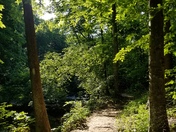 Prince William Forest Park