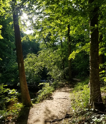 Prince William Forest Park