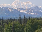 Denali National Park