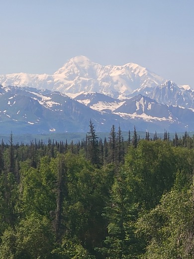 Denali National Park