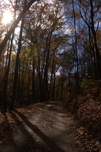 Smoky Mountains National Park