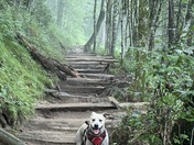 Great Smoky Mountain National Park 