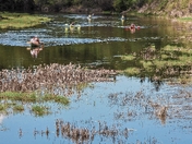 Paddling Down the Lazy River 