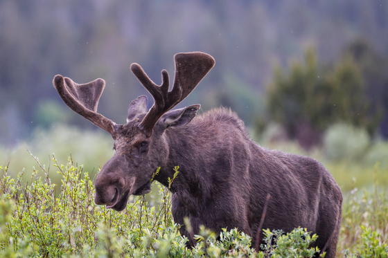 Rocky Mountain National Park