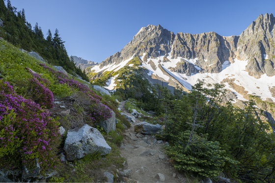 North Cascades National Park