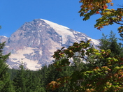 Mt Rainier National Park
