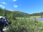 Denali National park