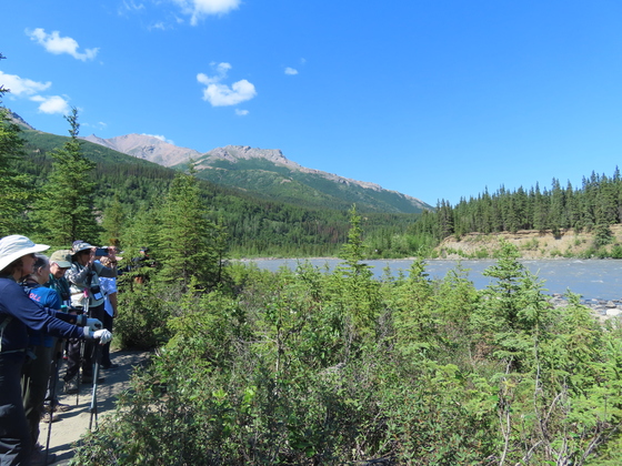 Denali National park