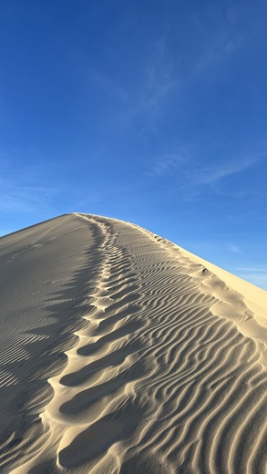 Mojave National Preserve