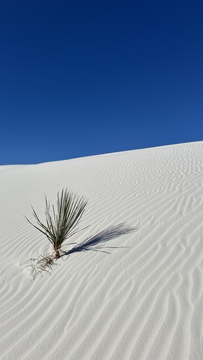 White Sands National Park