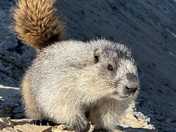 Glacier National Park
