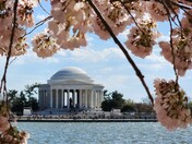 Thomas Jefferson Memorial