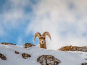 Grand Teton National Park