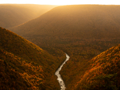 Golden Glow in the Cape Breton Highlands