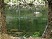 Great Smoky Mountains National Park 