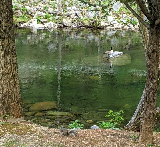 Great Smoky Mountains National Park 
