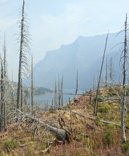 Glacier National Park 