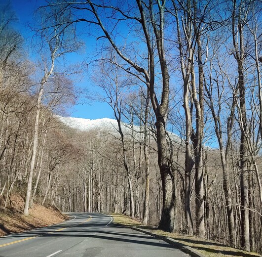 Great Smoky Mountains National Park 