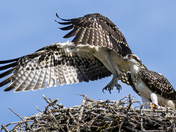 First Flight...or at least, First Jump!  