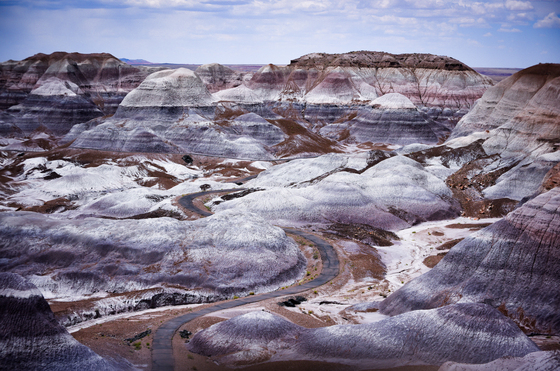 Petrified Forest National Park