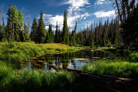 Cedar Breaks National Monument