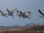 Padre Island National Seashore