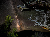 Great Basin National Park