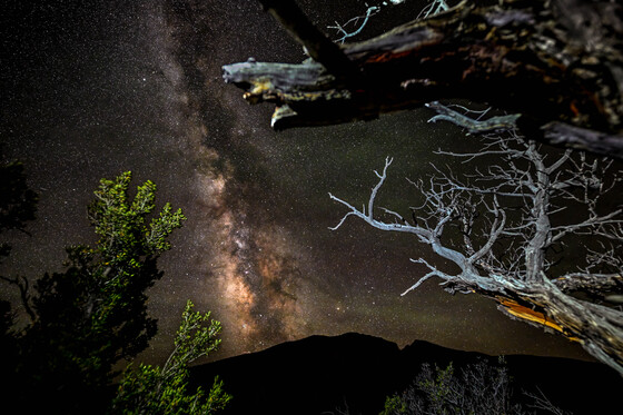 Great Basin National Park