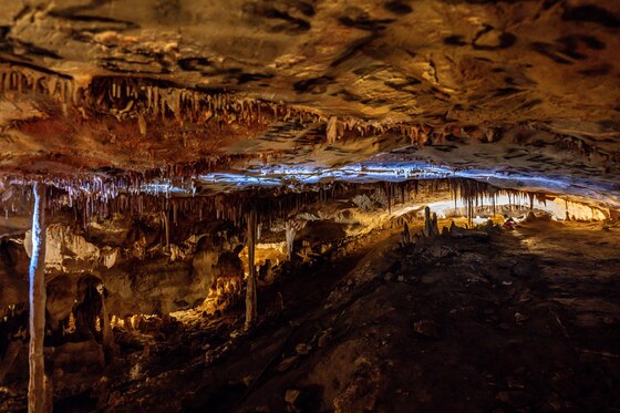 Great Basin National Park