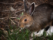 Rocky Mountain National Park