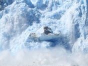 Kenai Fjords National Park