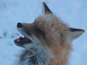 Let me tell you how it really was