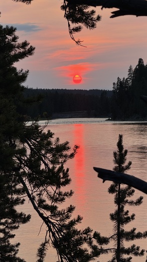Yellowstone National Park