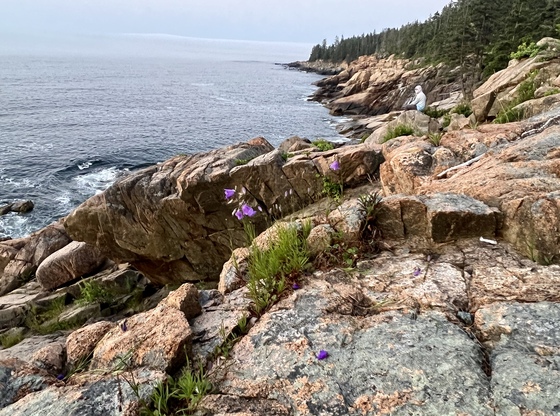 Acadia National Park