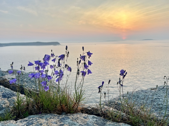 Acadia National Park