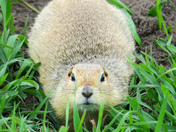 Are You Looking at Me?