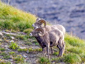 Glacier National Park