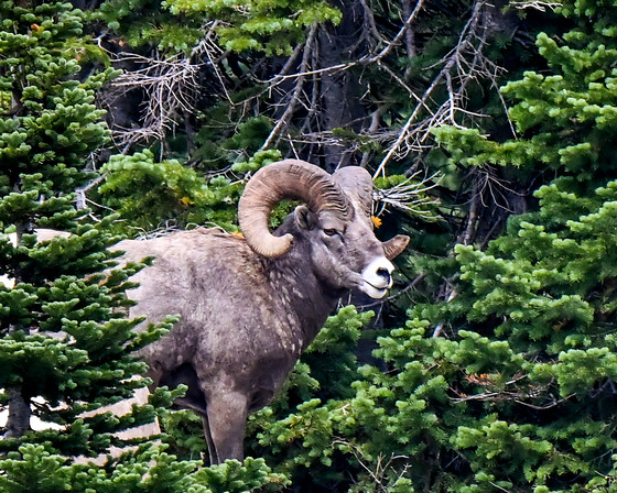 Glacier National Park