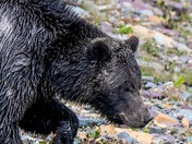 Glacier National Park