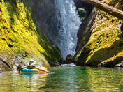 Willamette National Forest