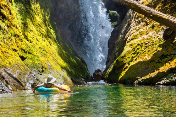 Willamette National Forest