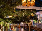 Wedding Event Management Toronto