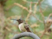 Here’s looking at you