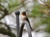 Here’s looking at you