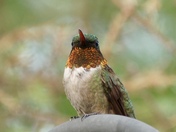 Here’s looking at you