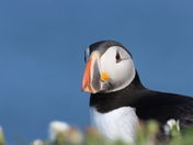 Stillness by the Sea