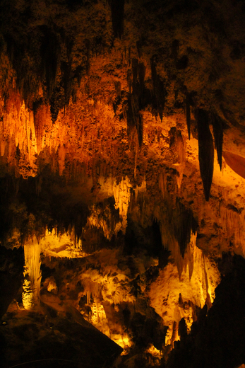 Carlsbad Caverns National Park